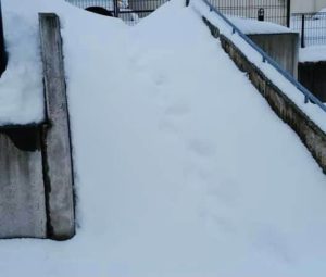 昨日より今日 今日より明日 長寿メディカル